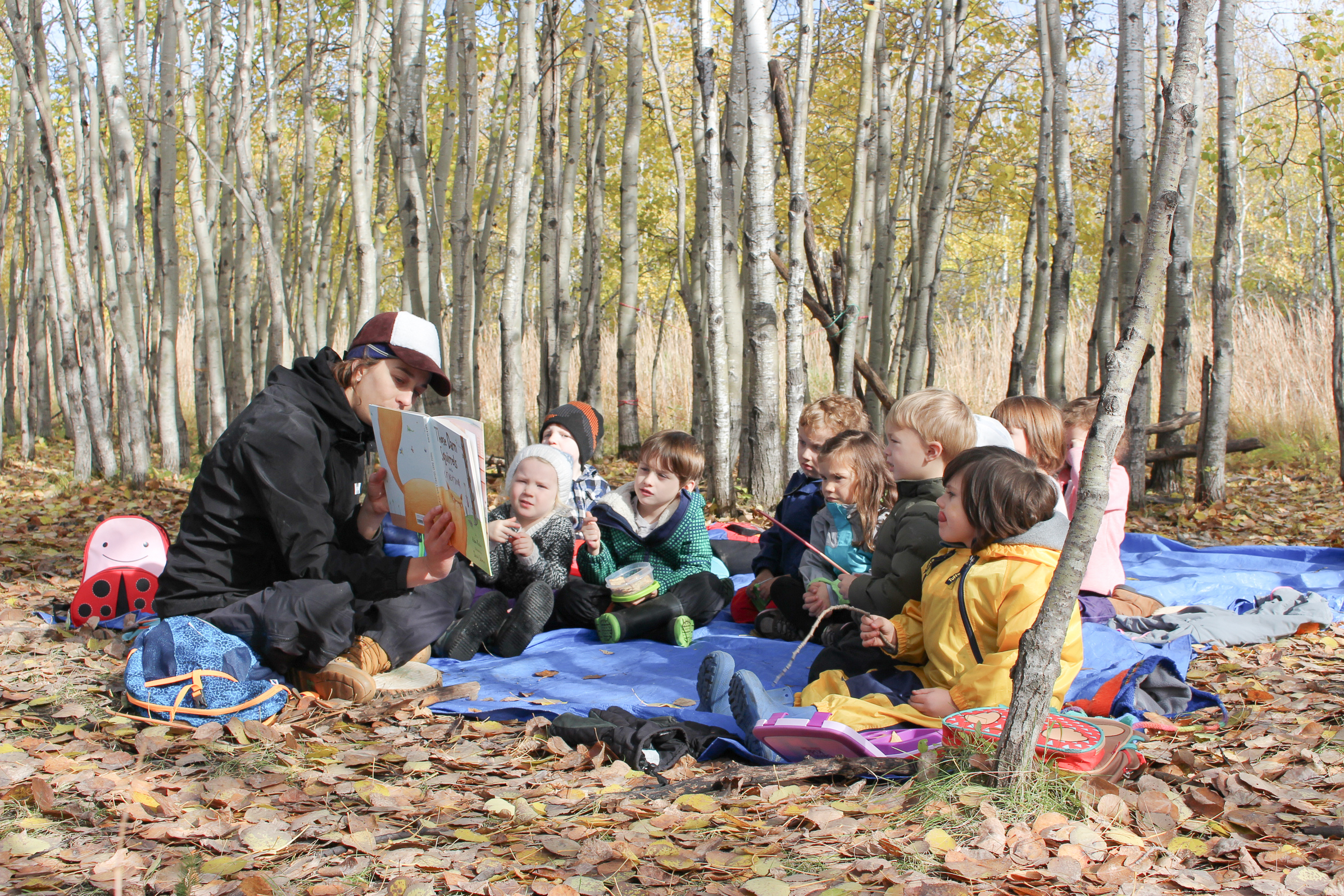 group of children reading in a forest